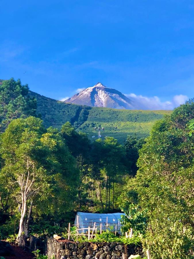 Quinta Pereirinha Farm - Bed & Breakfast - Pico Island, Azores - Private 3 Bedroom Home On A Working Farm W Ocean Views São Roque do Pico Exterior foto